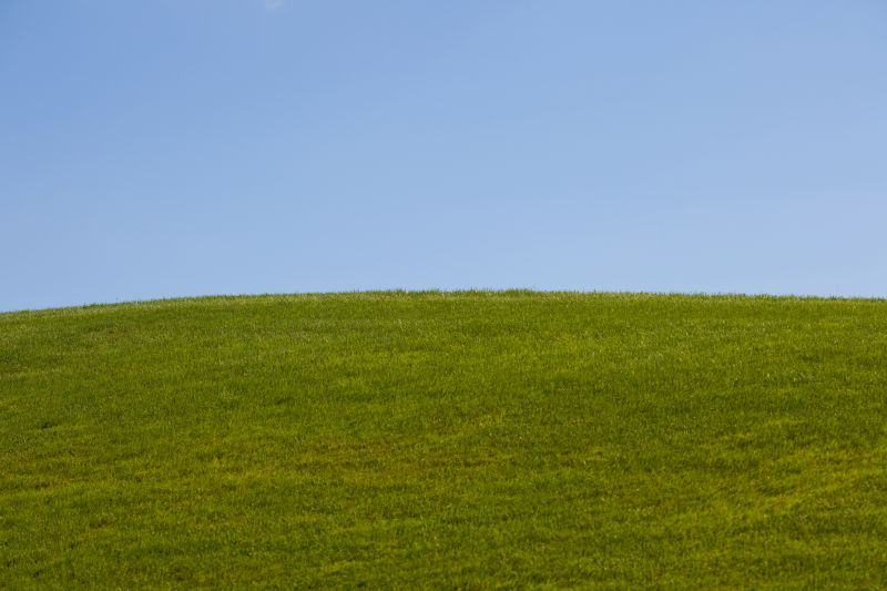 Landscape Grading Service